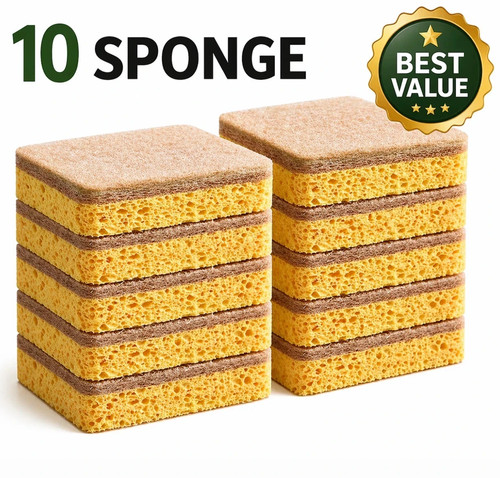 Pack eco compostable - eco, sponge